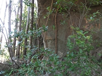nte Cicirello-10042012 013